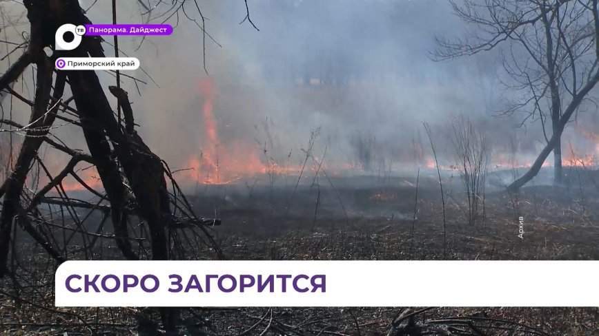 Стали известны сроки начала в Приморье пожароопасного сезона