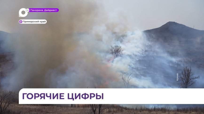 В Приморье 2,6 млн рублей штрафов заплатили нарушители пожарной безопасности
