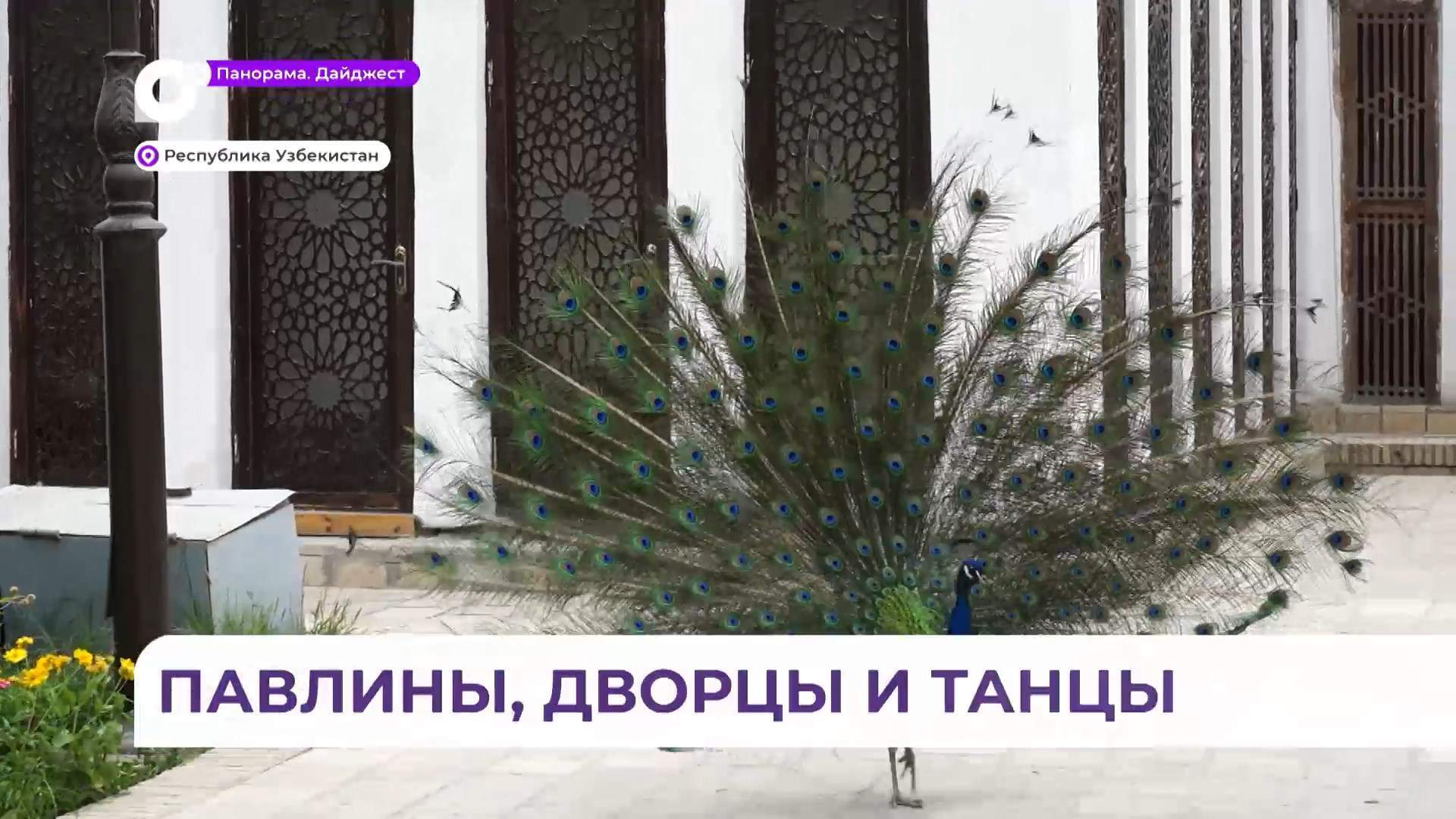 Второй день приморских ребят в Узбекистане выдался очень насыщенным и интересным
