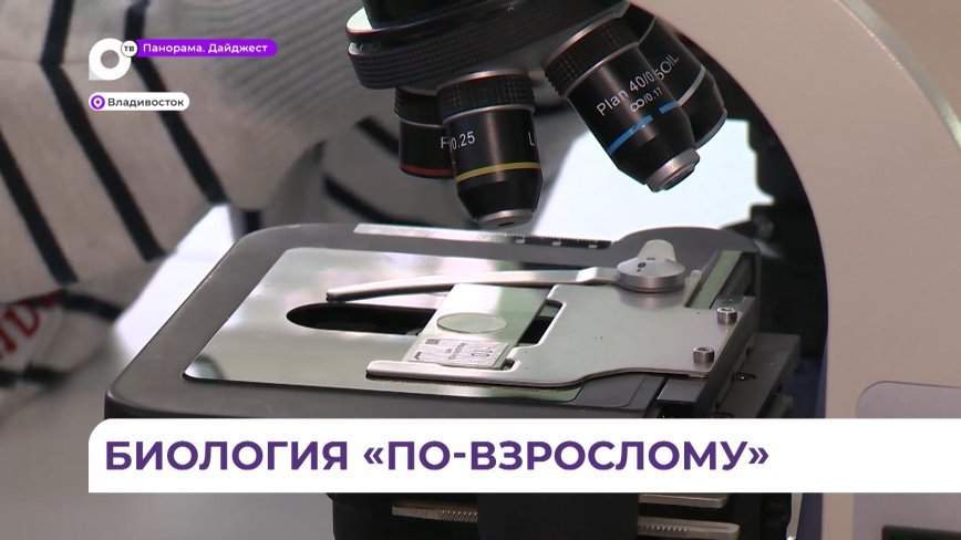 Занятия по микробиологии проводят во Владивостоке в рамках программы «Инженерные каникулы»