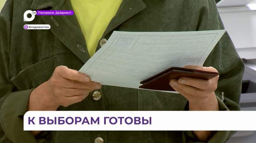 «Мы должны проявить единство: до выборов в Приморье остались считаные дни