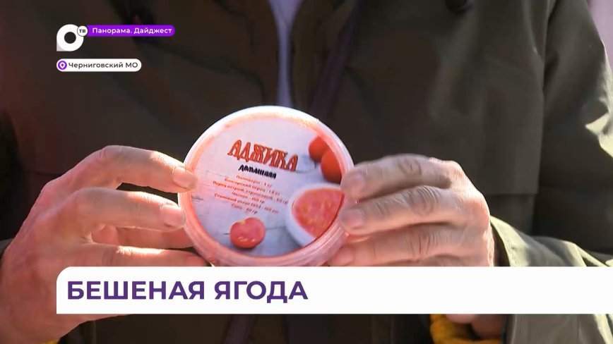 Фестиваль томатов во второй раз прошёл в Черниговке