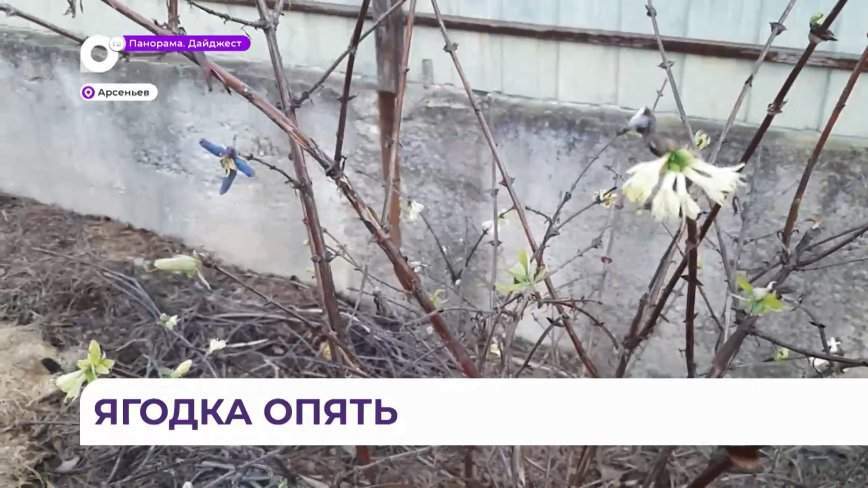 За 50 лет такое впервые: опытные садоводы Приморья сильно удивлены