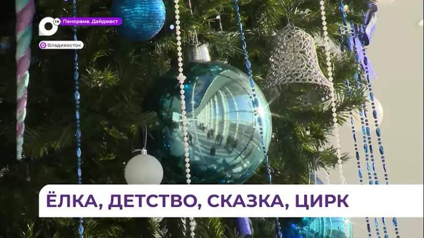 Губернаторская елка в цирке собрала более 1600 юных приморцев