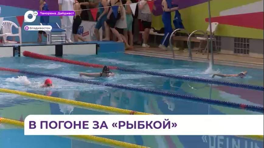 Соревнования по плаванию «Золотая рыбка» прошли во Владивостоке