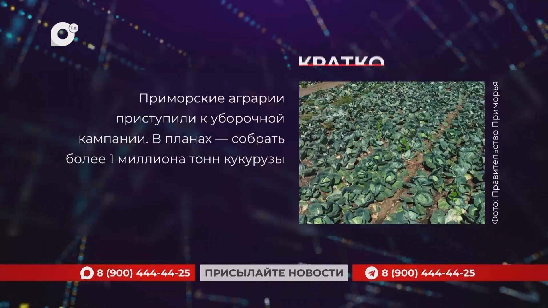 Кратко / 25.08.26