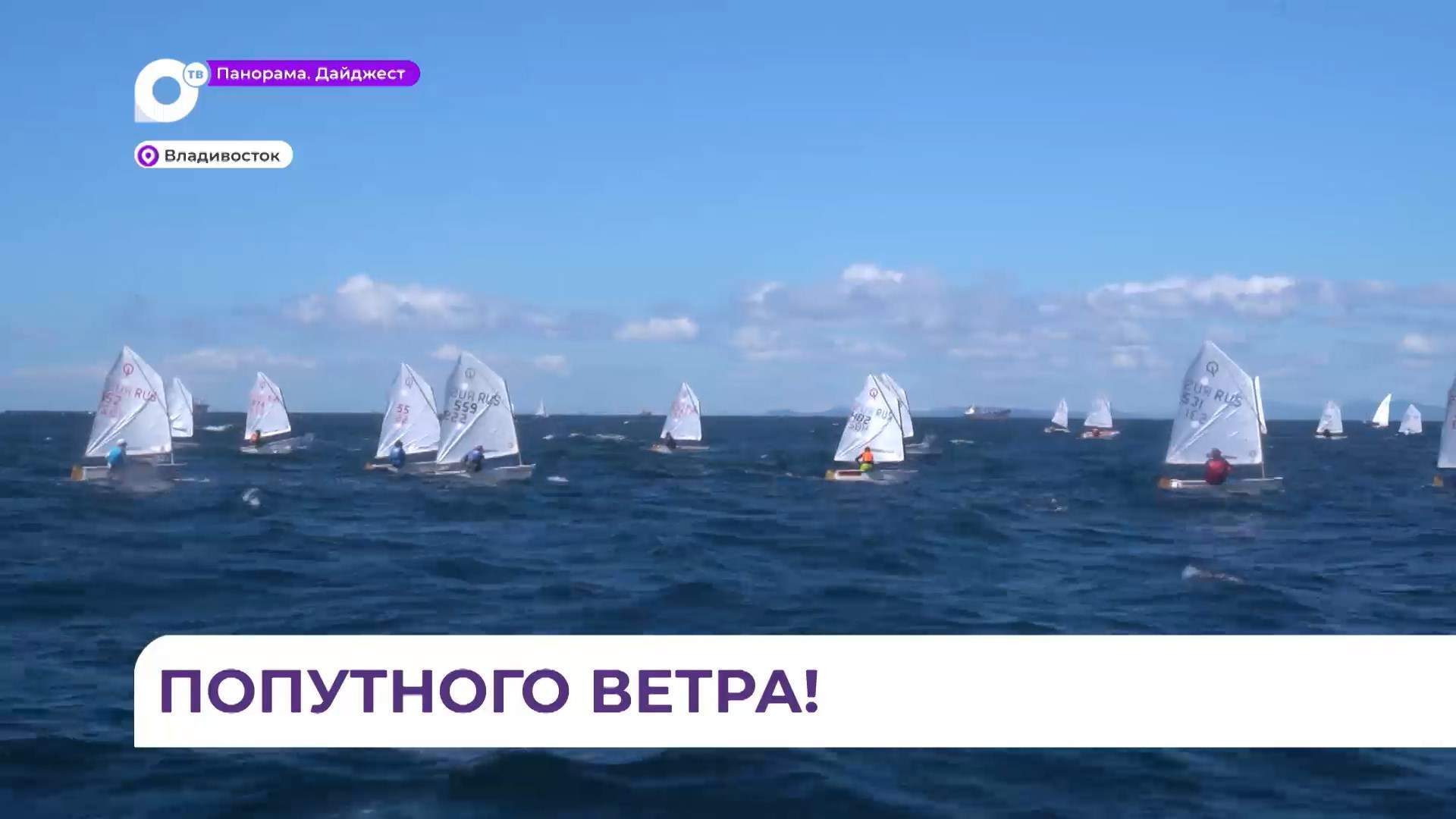 Во Владивостоке проходит первенство Дальнего Востока по парусному спорту