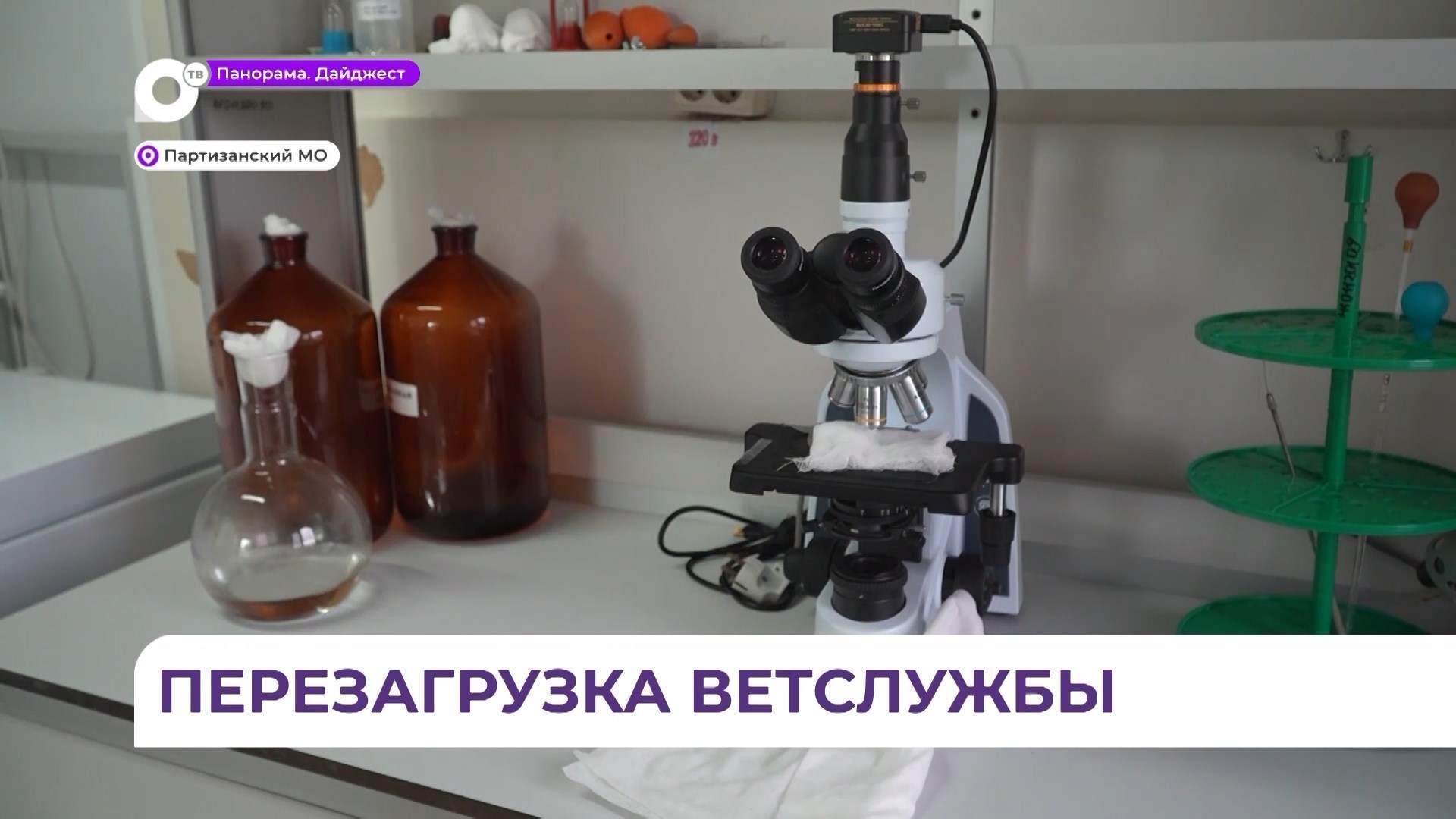 Ремонт и переоборудование проходит в ветеринарной клинике в Партизанском округе  