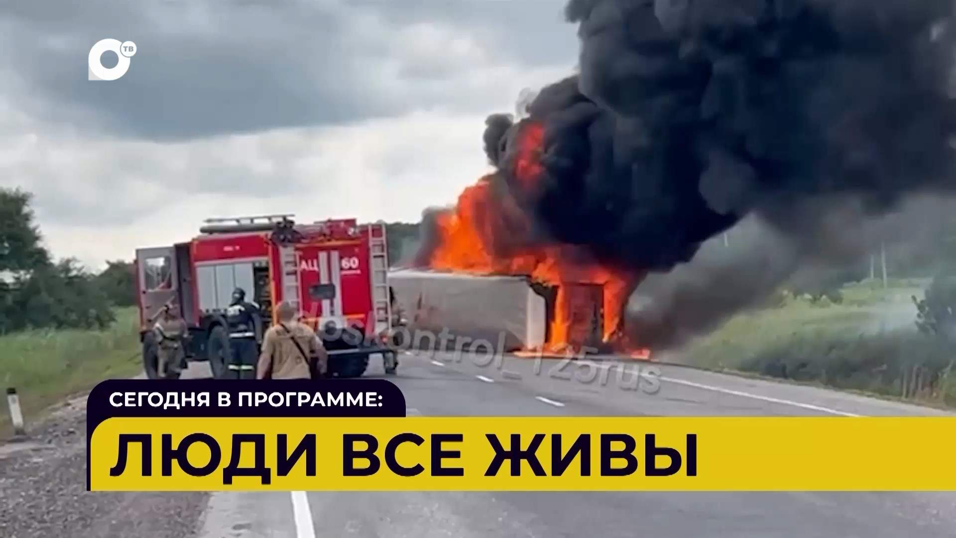 Автопатруль / Люди все живы / Плохо за рулём / Выскочил на дорогу / 31.07.25