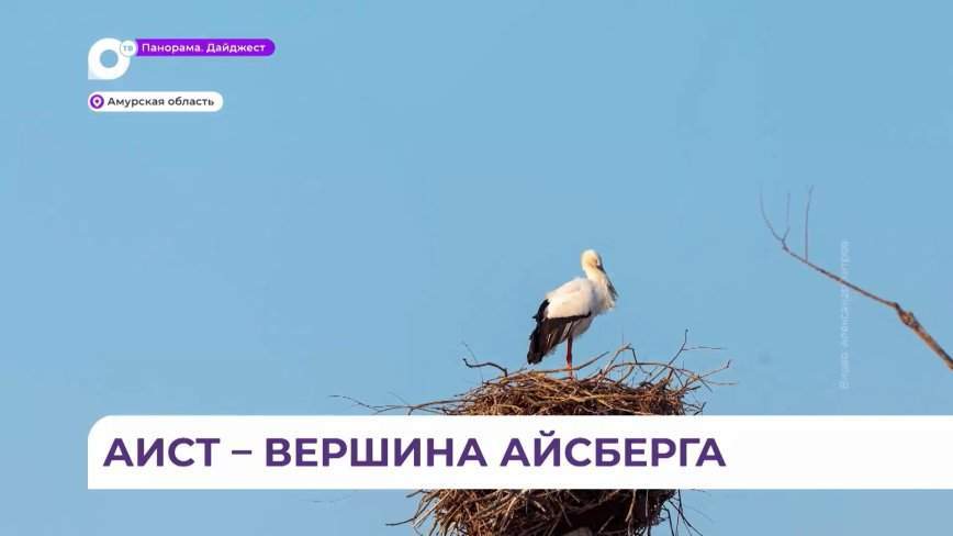 WWF займется сохранением пресноводных систем Амурского экологического региона