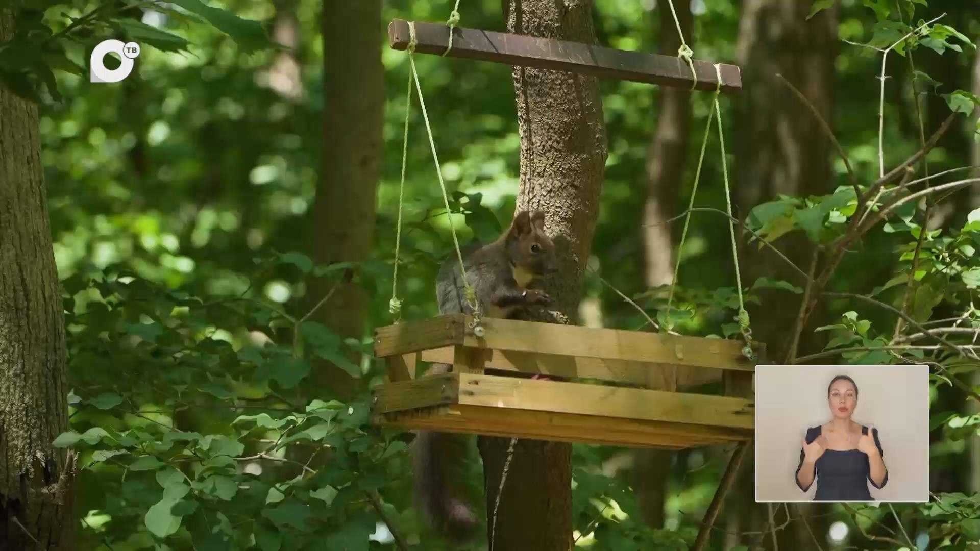 Мобильная мама / Куда пойти с детьми во Владивостоке? / 04.09.26