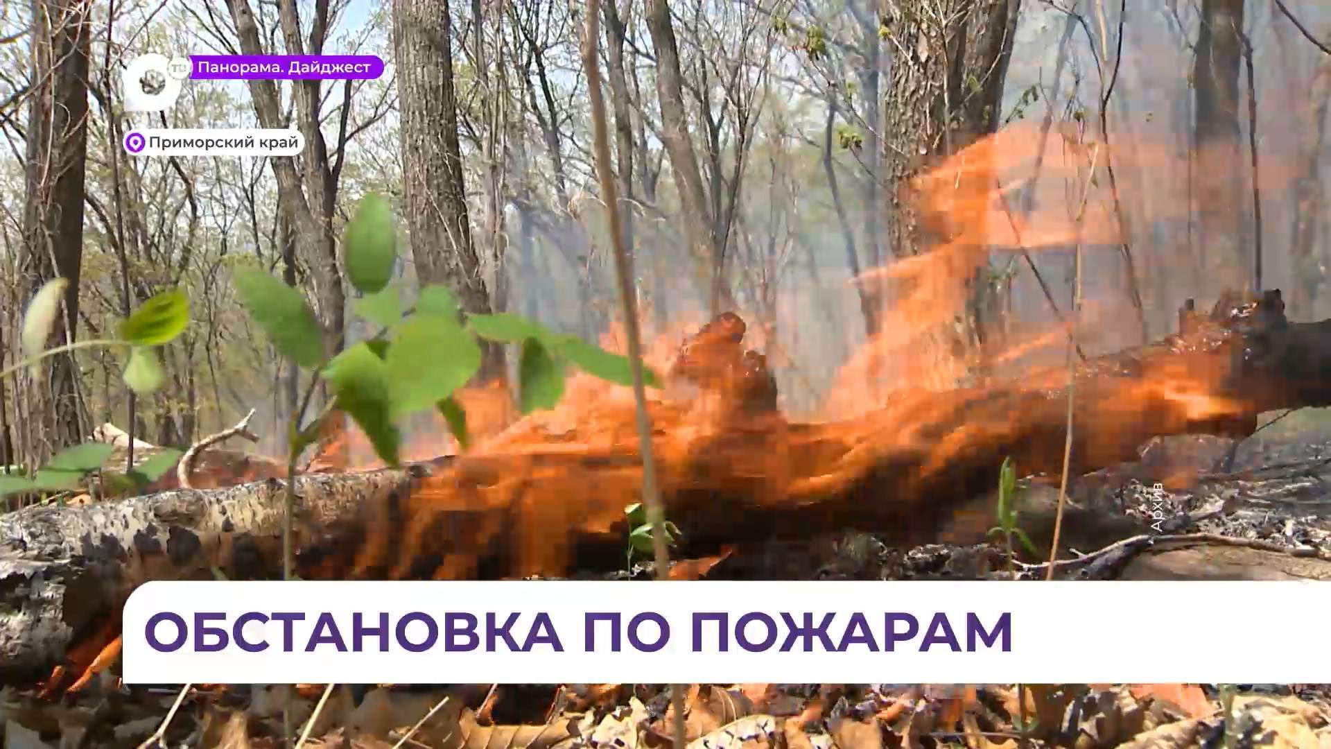 Неспокойная пожарная обстановка в Приморье сохраняется