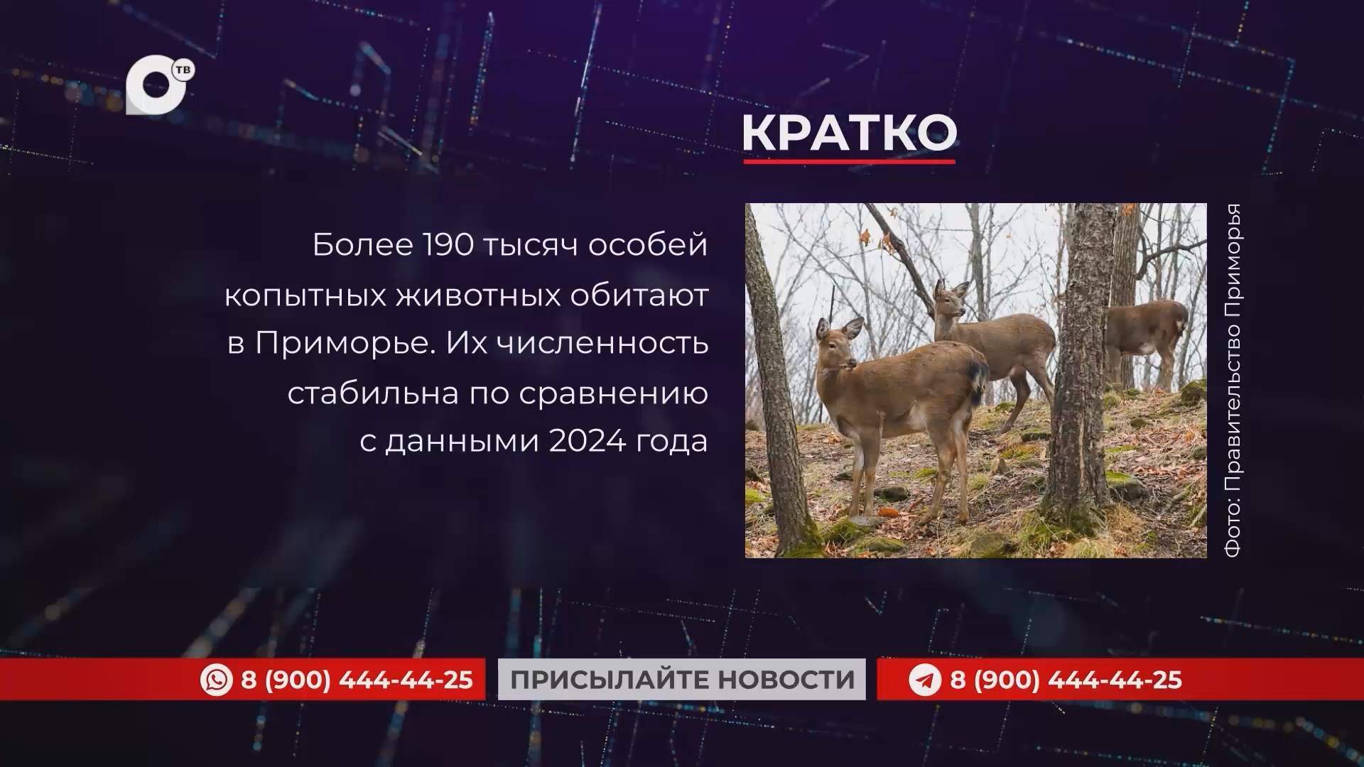 Кратко / 12.05.25 / Утро