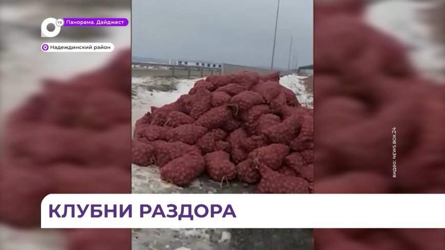 Клубни раздора: стали известны подробности скандала с выброшенным в Приморье картофелем