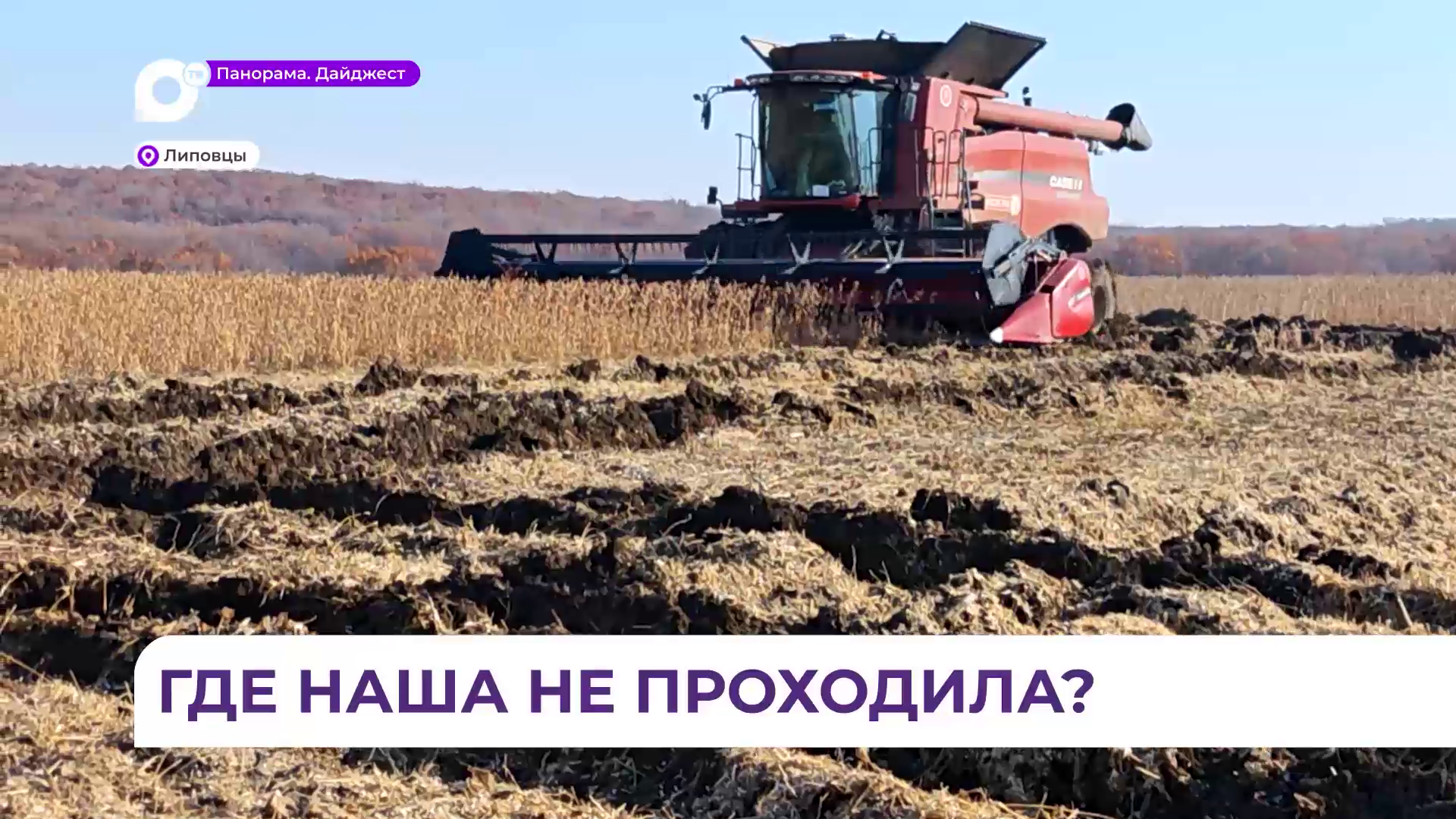 Уборочная кампания сои в Липовцах успешно преодолела свой экватор