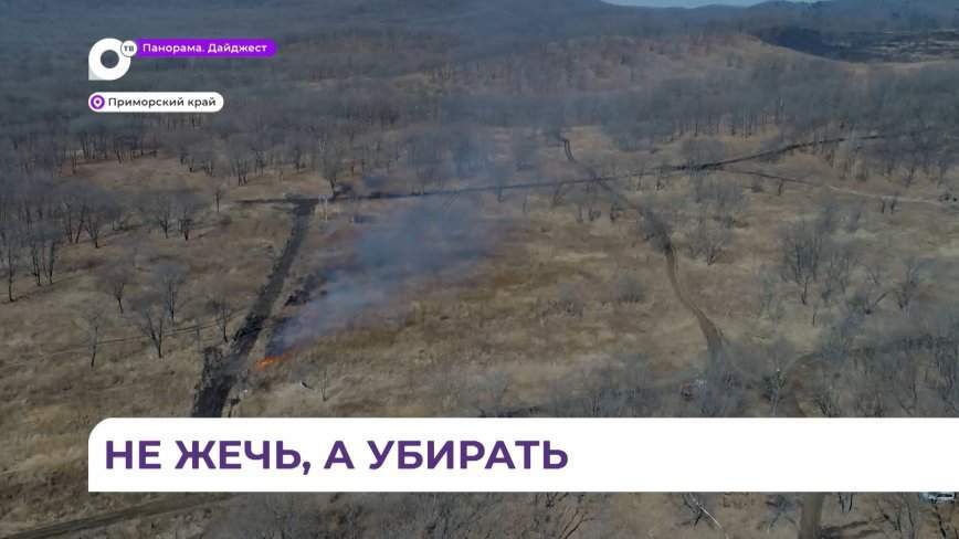95 протоколов о нарушении пожарной безопасности составили в Приморье за прошедшую неделю