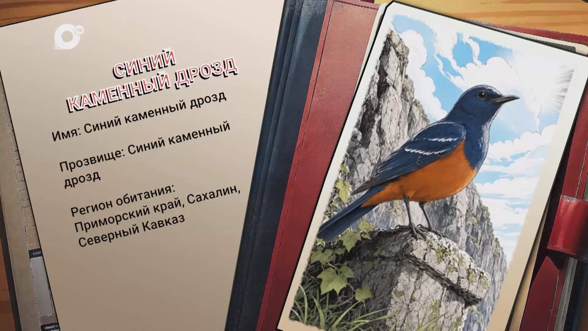 Агент биосферы / Синий каменный дрозд / 02.09.26