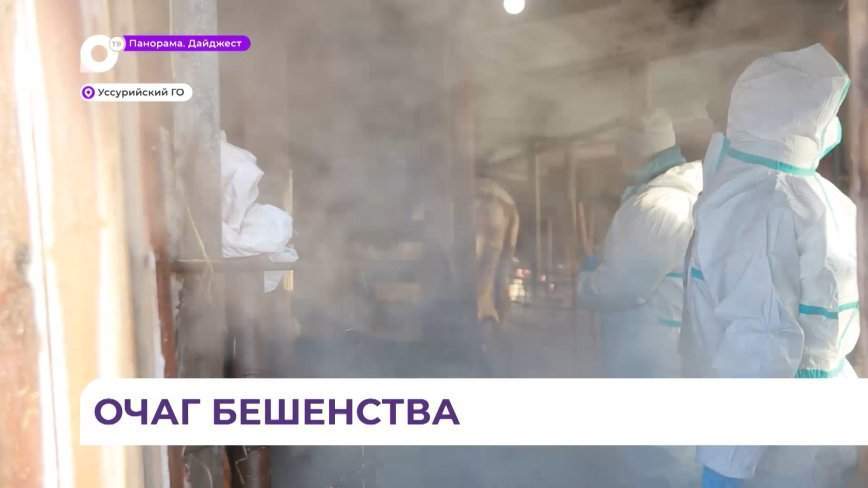 В Приморье провели межрегиональные учения по ликвидации очага особо опасной болезни