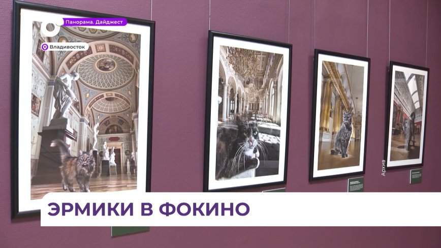 «Эрмиков» сегодня встречают в Фокино