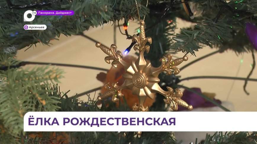 8 января в Духовно-просветительском центре Арсеньевской епархии пройдет рождественская ёлка