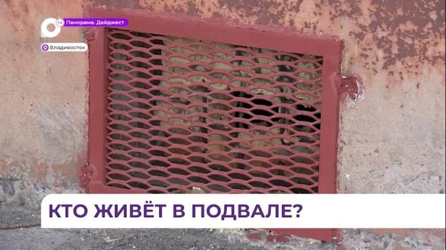 Решетки в доме на Луговой избавили жильцов от бомжей и добавили другие проблемы