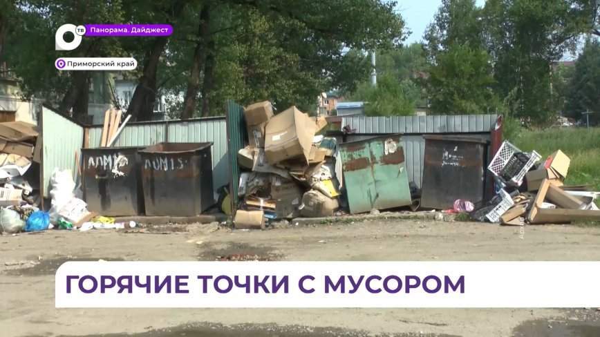 «Прямой разговор»: организация вывоза бытовых отходов в Приморском крае