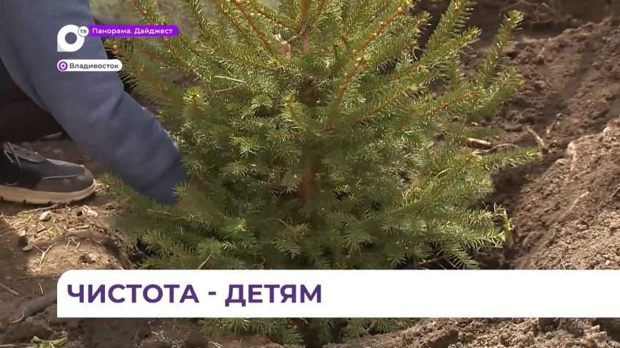 Сотрудники "Подряда" навели порядок во владивостокском детском доме № 2