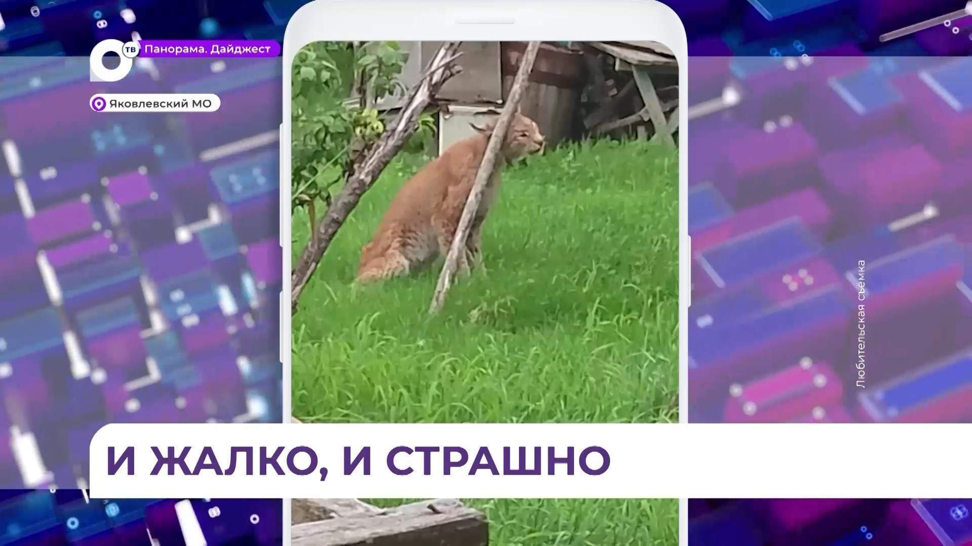 Неожиданная гостья наведалась в село Николо-Михайловка Яковлевского округа