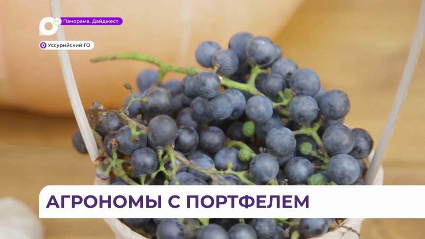 Помериться урожаем встретились агроклассы Приморья