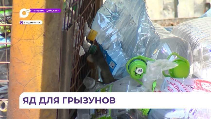 Массовая дератизация прошла во Владивостоке