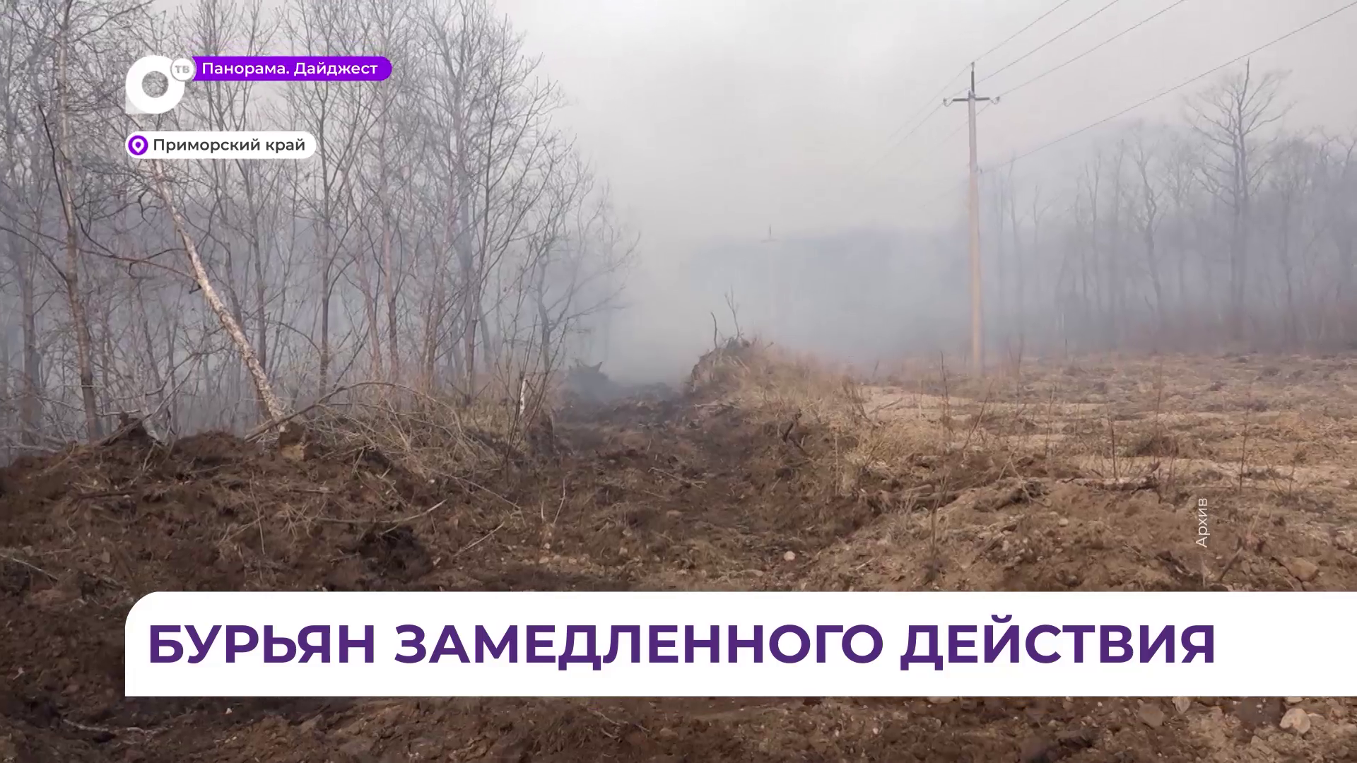 В Лесозаводском округе предпринимателю грозит крупный штраф за заросли на участке