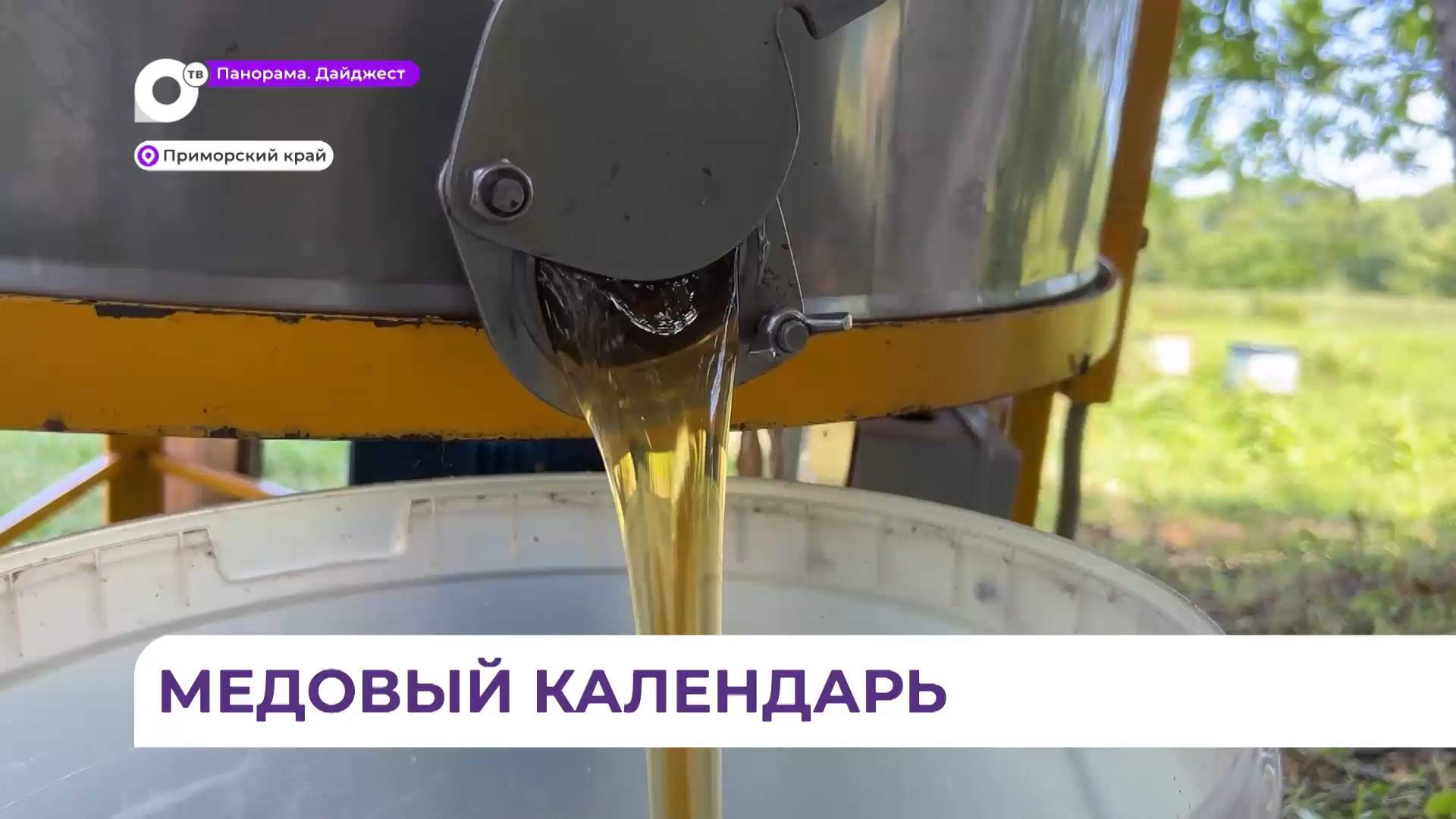 Приморские пасечники приступили к откачке первого в сезоне липового мёда