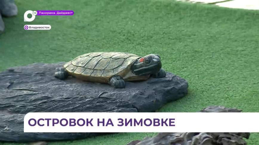 Островок для черепах на озере Сафонова отправился на «зимовку»