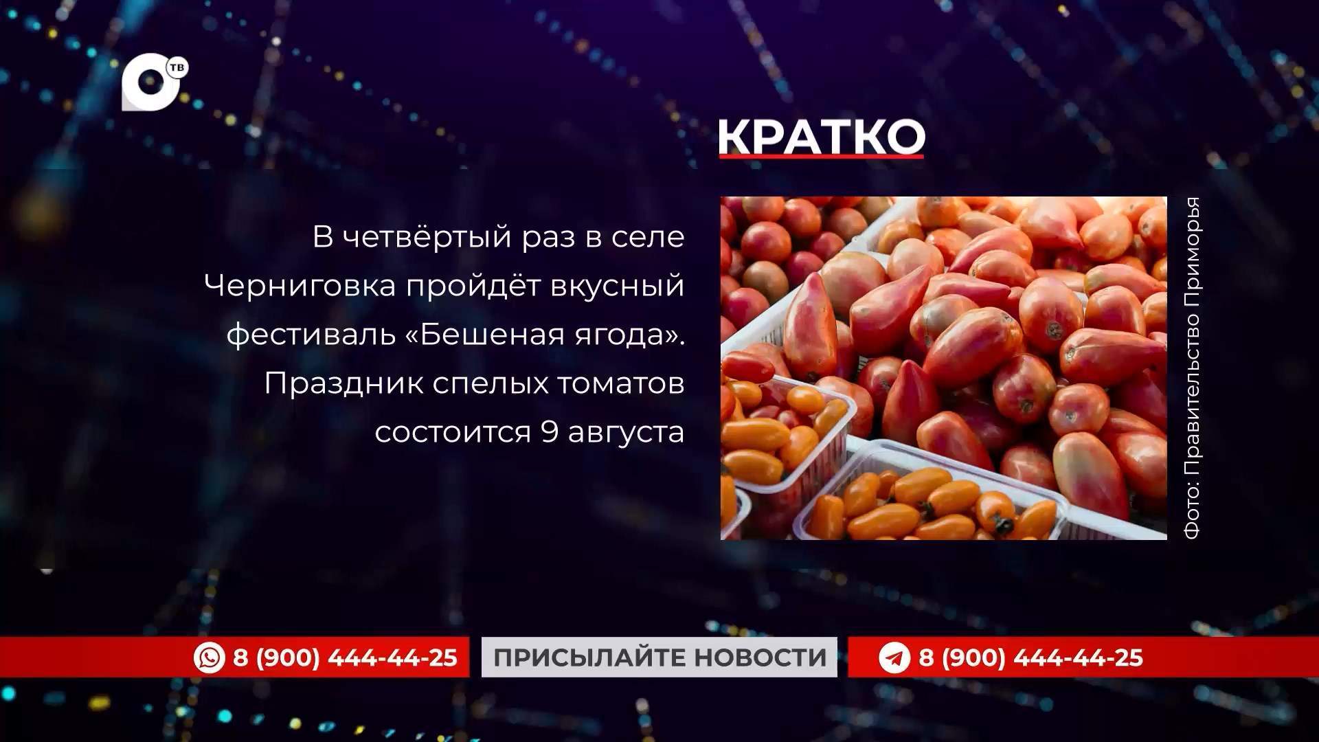 Кратко / 06.08.25 / Вечер 
