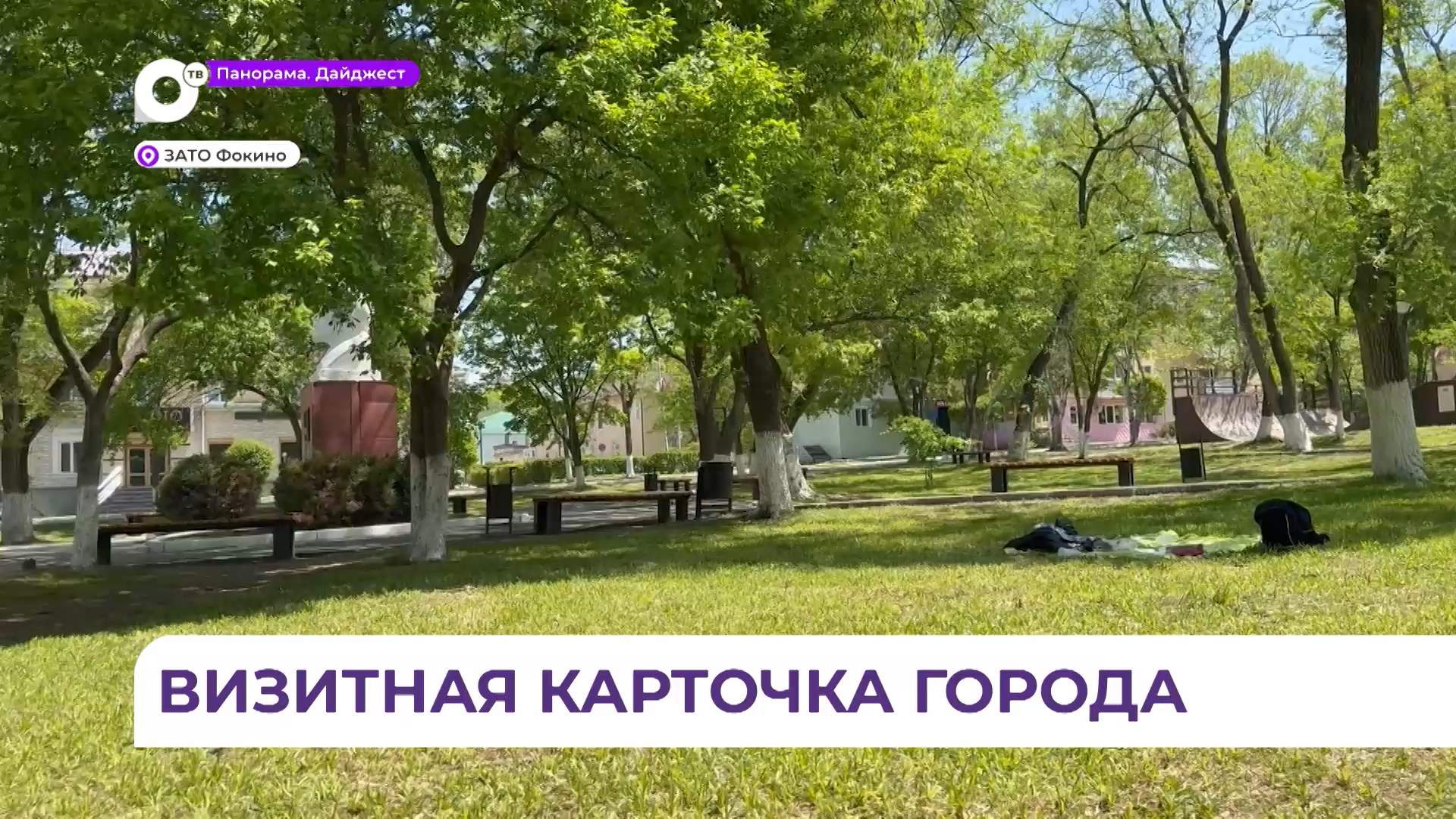 «Сиреневая» аллея в Фокино может стать визитной карточкой города