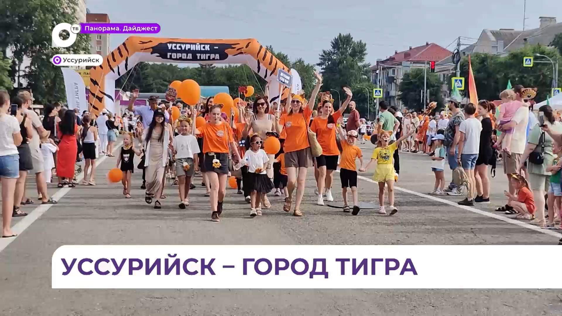 Сотни полосатых кошек прошлись по центральной площади Уссурийска в День тигра