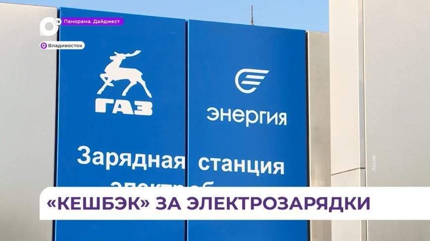 Приморским компаниям возместят часть затрат на развитие зарядной инфраструктуры для электромобилей