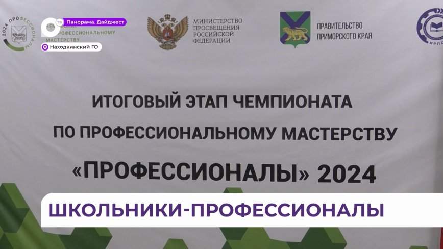 В Приморье завершился итоговый межрегиональный этап чемпионата «Профессионалы»