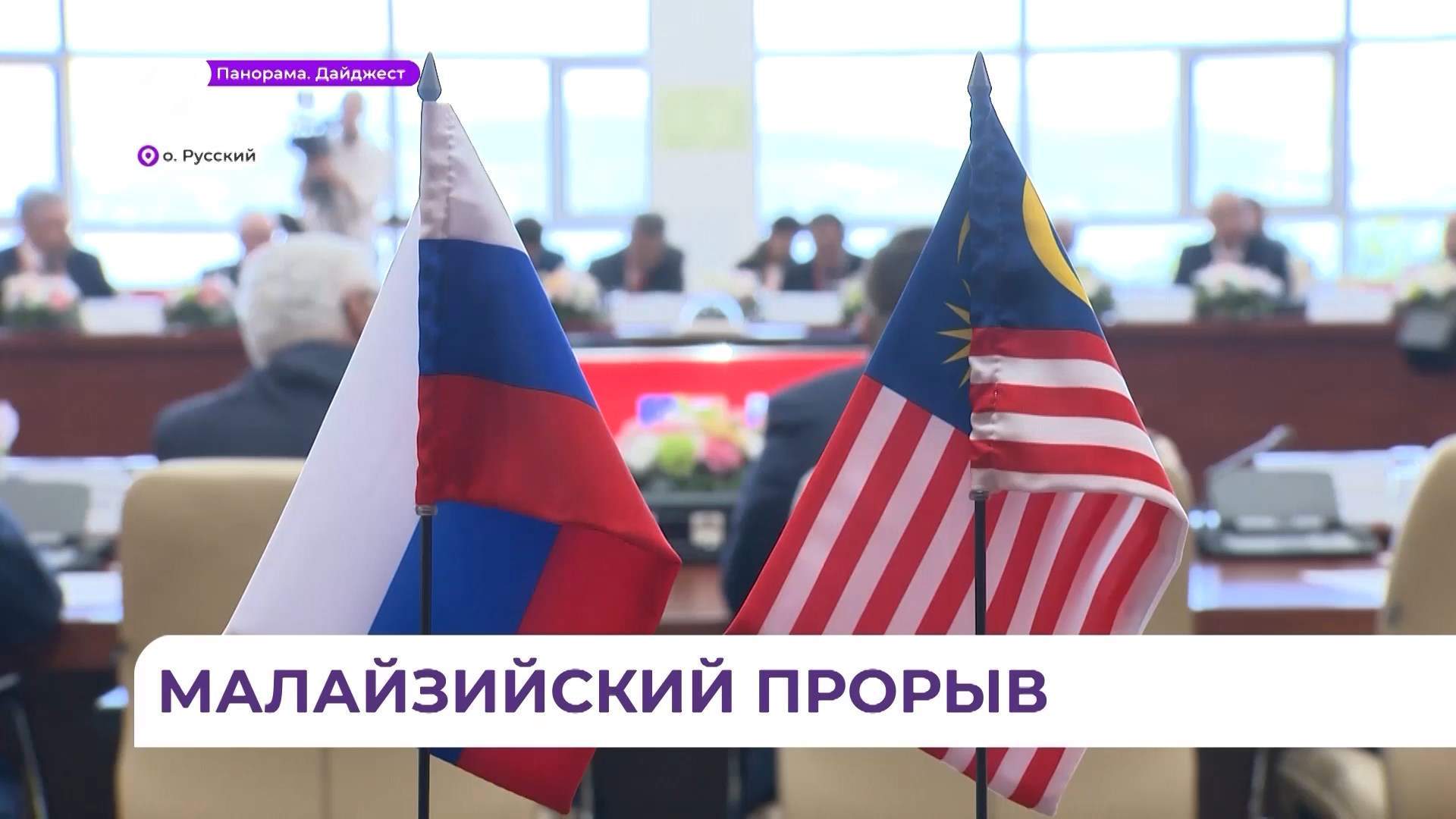 Итоги пятого заседания российско-малайзийской комиссии подвели во Владивостоке