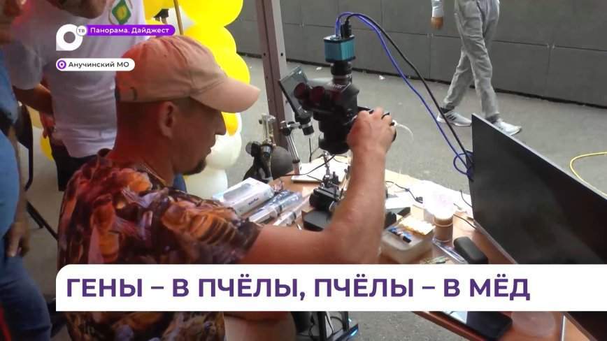 Пчеловоды из Пограничного намерены внедрить новый метод искусственного осеменения пчёл