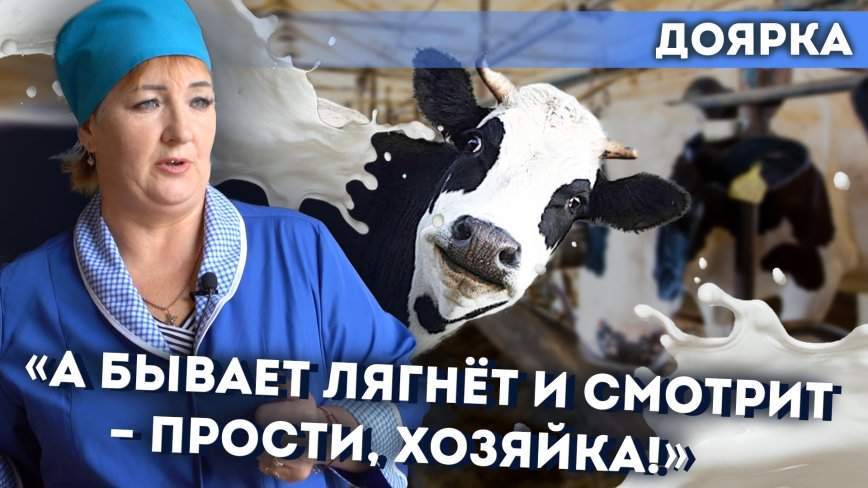 НЕ работа / Жизнь с коровами. Доярка о молочных реках и крепких копытах  / 28.11.23