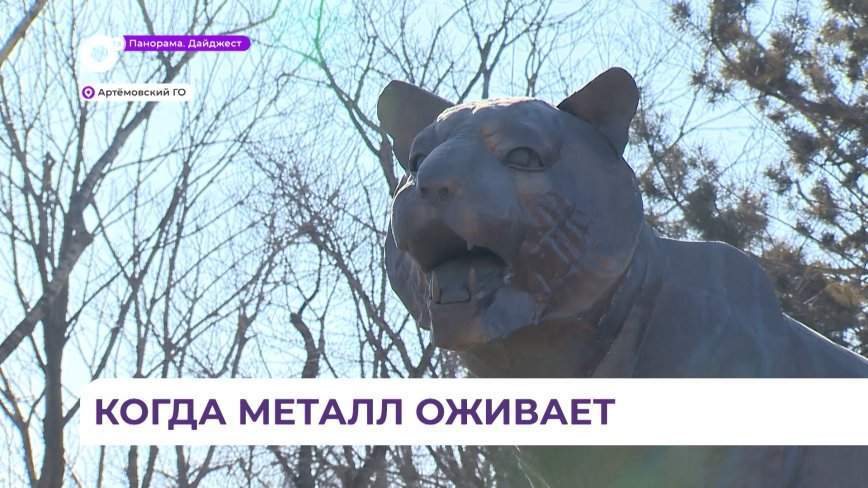 Приморский кузнец создаёт социальные инсталляции из металла