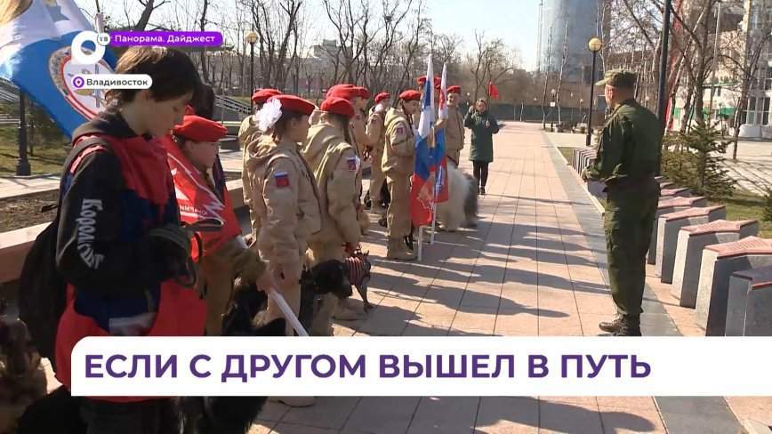 Первый кинологический отряд «Юнармии» принял участие во Всероссийской акции «Верни герою имя»