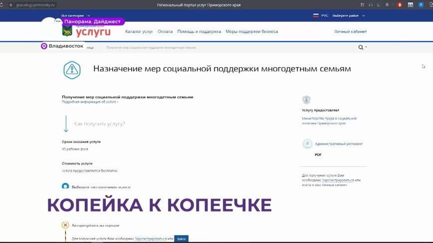 Какие меры социальной поддержки могут получить многодетные семьи в Приморье