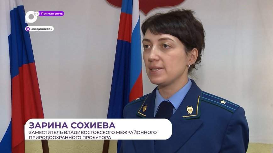 Прямая речь. О владении земельными недрами