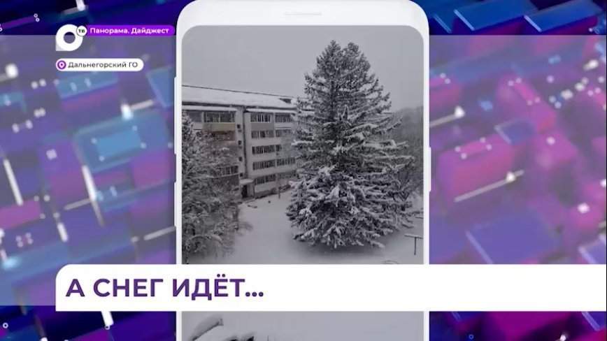 В большинстве районов Приморья идет снег и безветренно