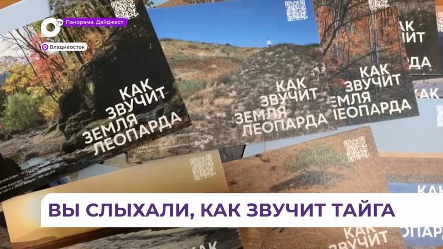 Проект «Как звучит Земля Леопарда» знакомит туристов с редкими звуками и кадрами