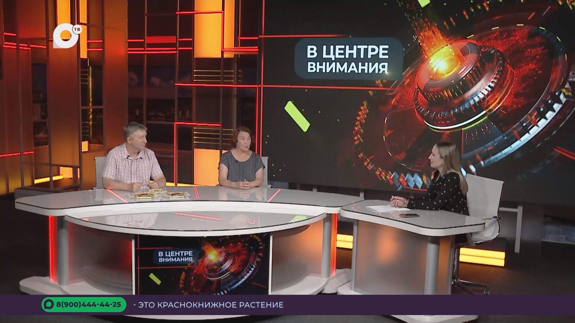 В центре внимания / Фестиваль женьшеня / 08.09.26