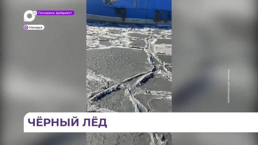 Прокуратура начала проверку по факту загрязнения угольной пылью акватории бухты Находка
