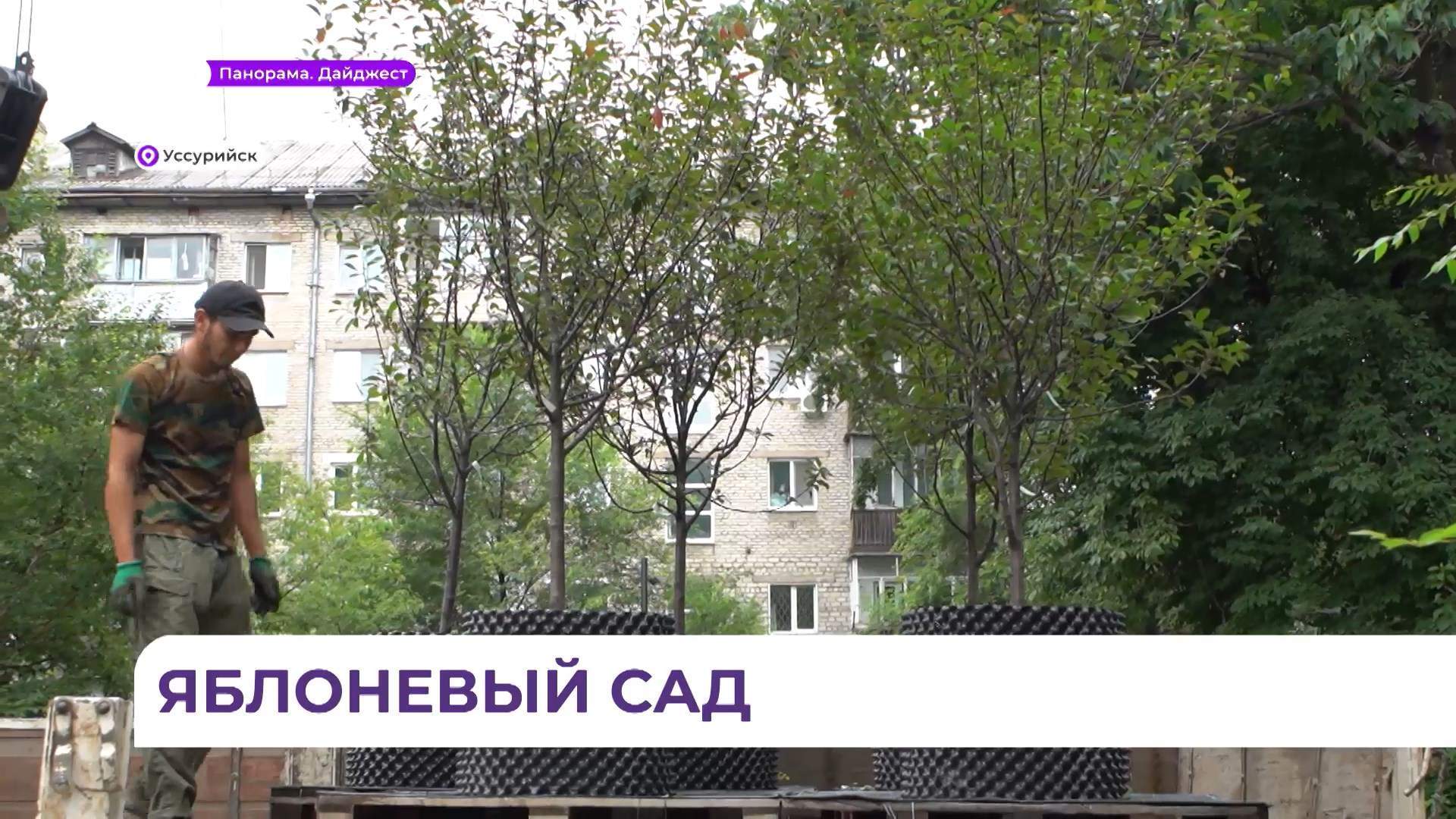 Яблони и сакура украсят главную аллею Уссурийска